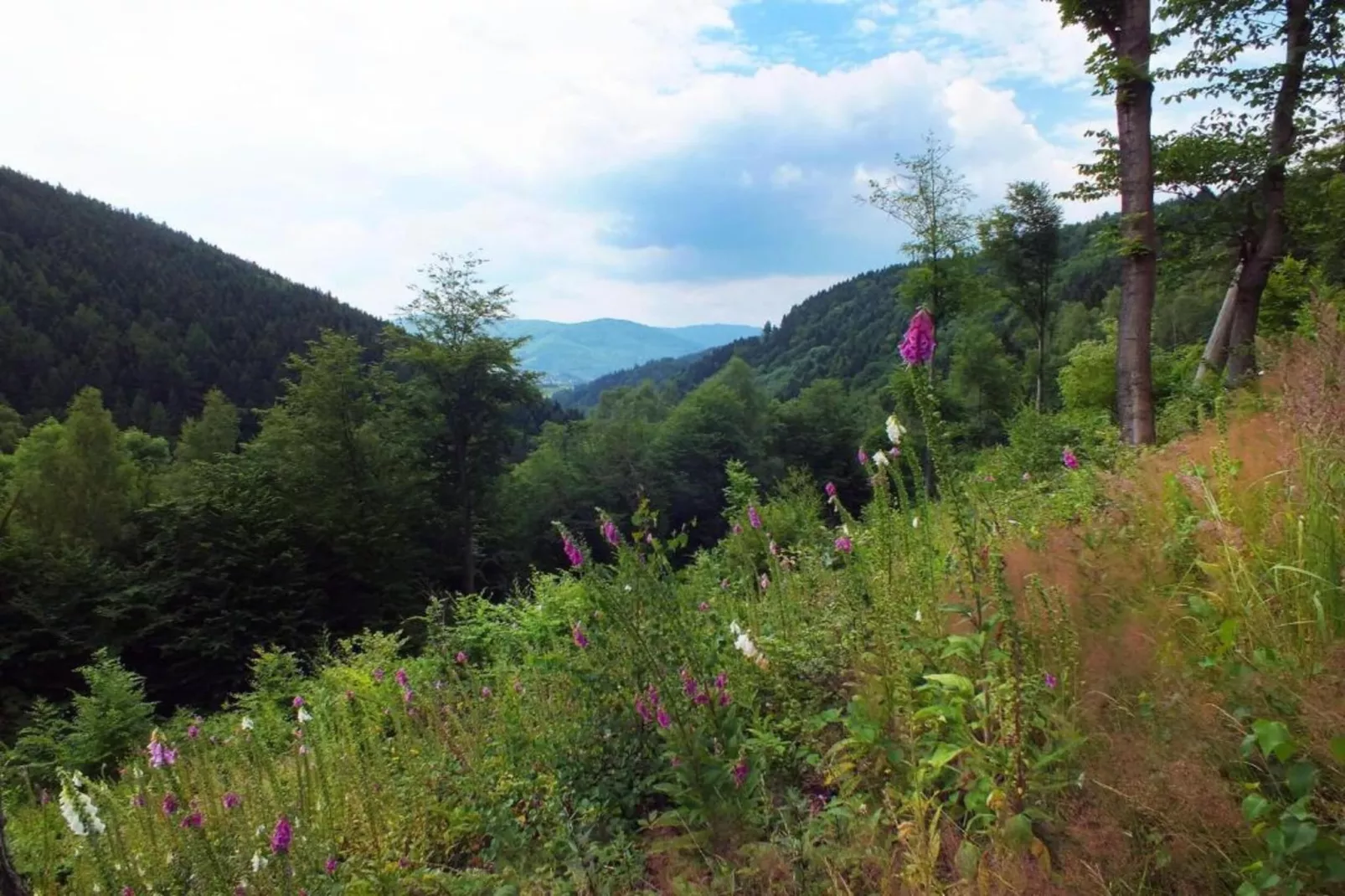 Mountain house Marie-Gebieden zomer 5km