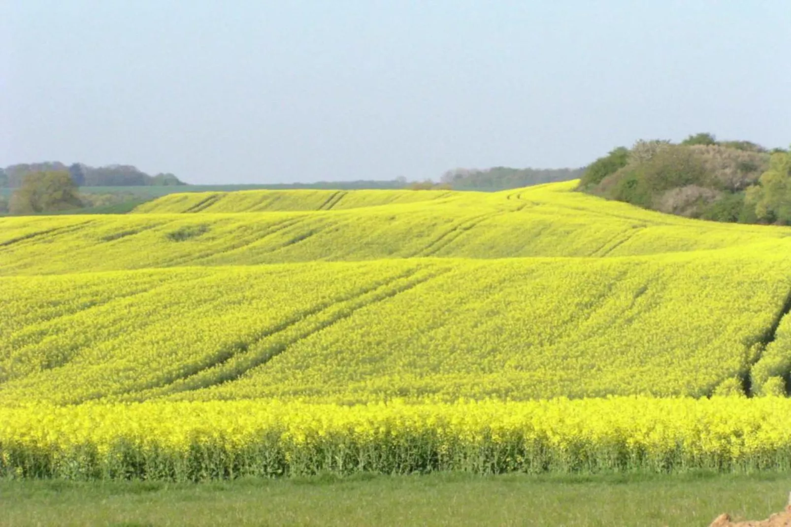 Gartenblick bei Gerdshagen-Gebieden zomer 20km