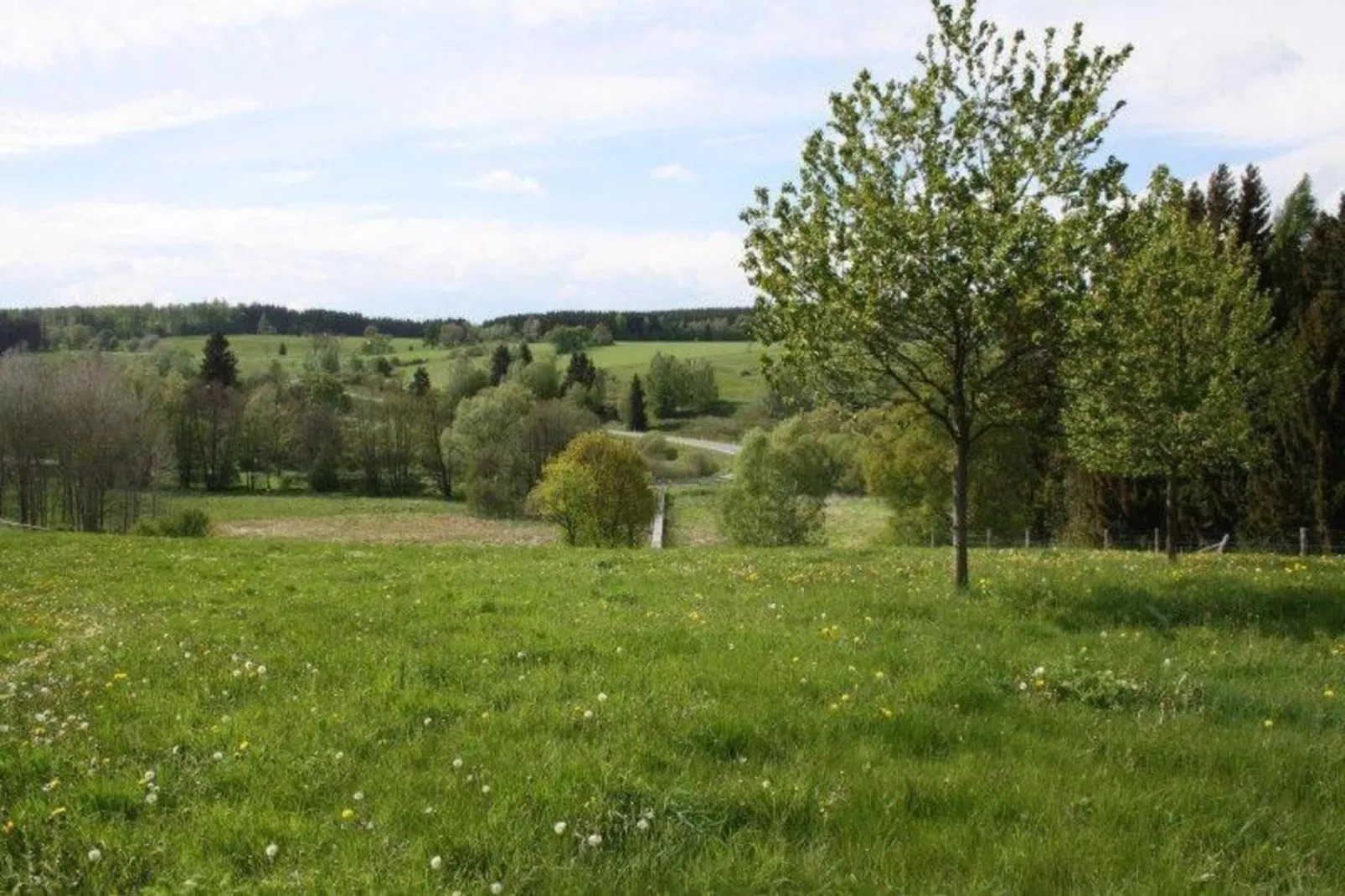 Thale-Gebieden zomer 20km