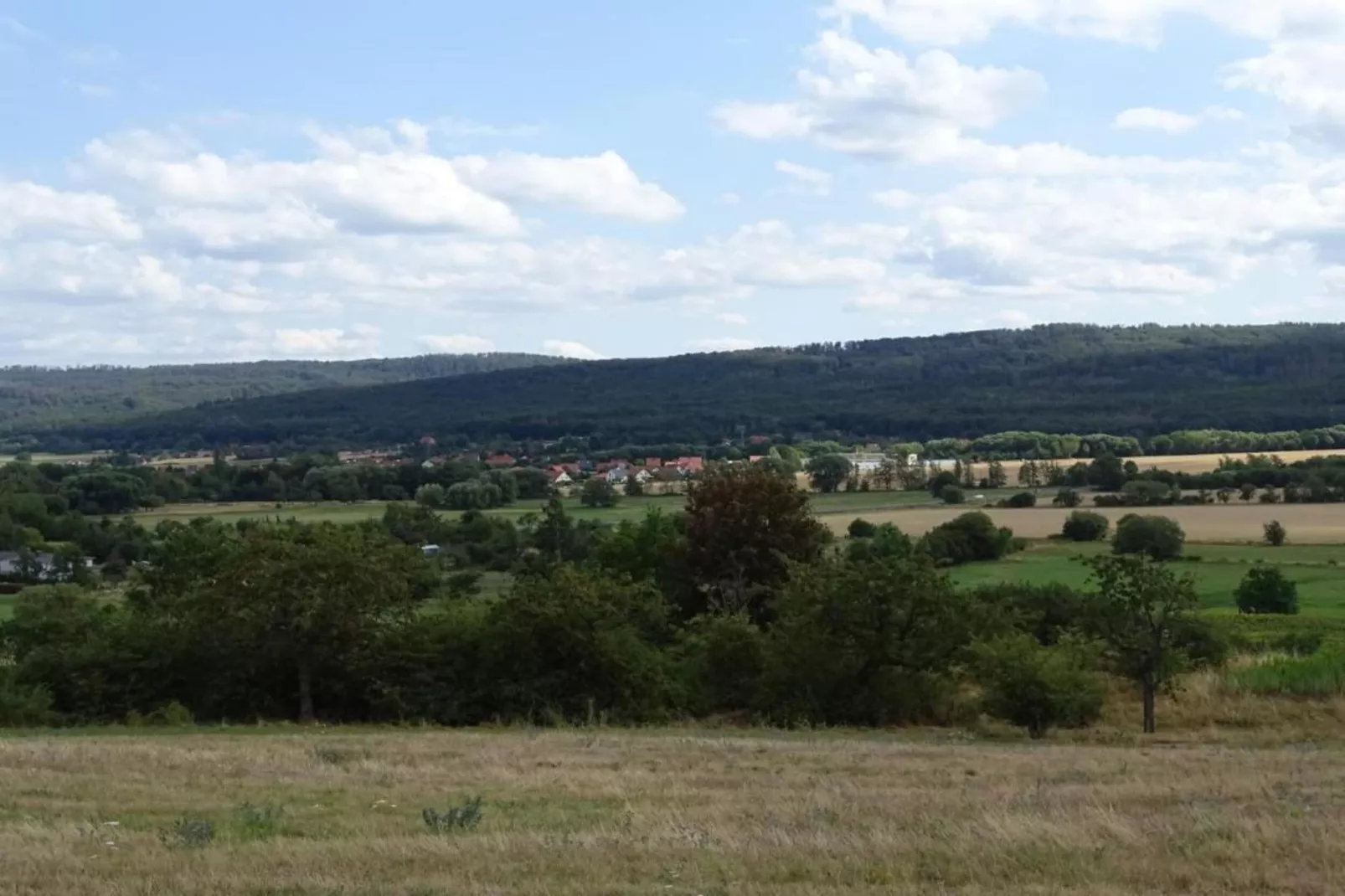 Zur Teufelsmauer-Gebieden zomer 5km