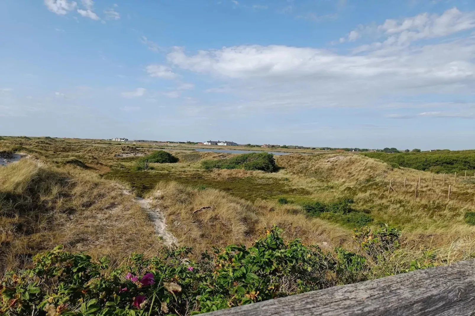 Ferienwohnung Sommerdeich  2 Personen-Gebieden zomer 5km