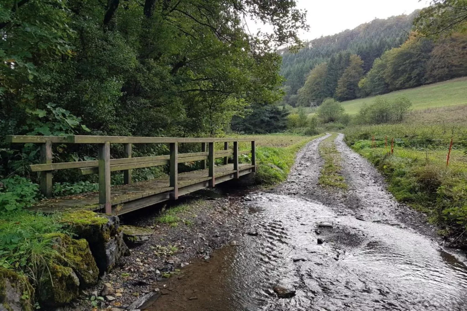 Appartement Willingen-Gebieden zomer 5km