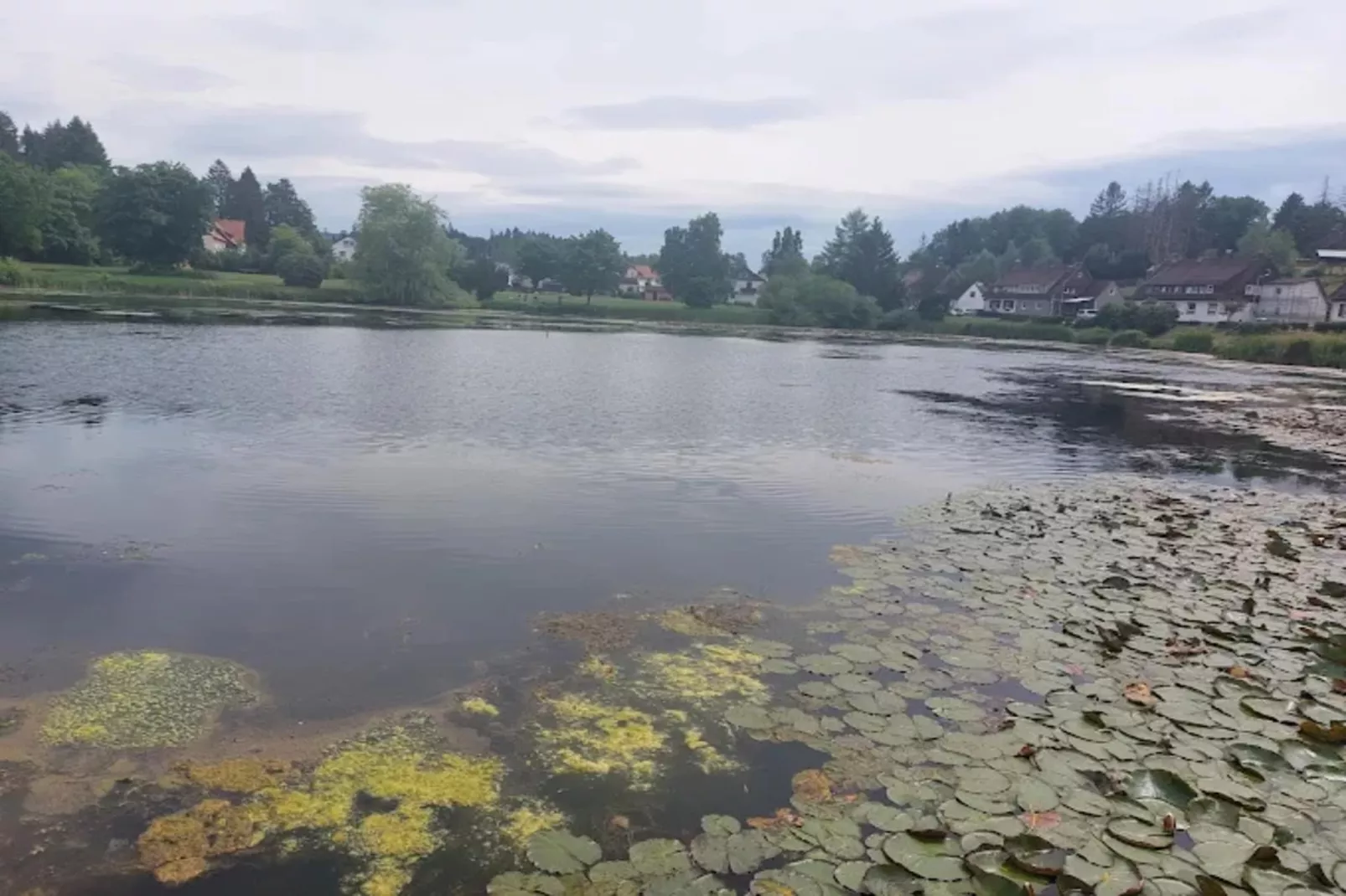 Am Berg-Gebieden zomer 1km