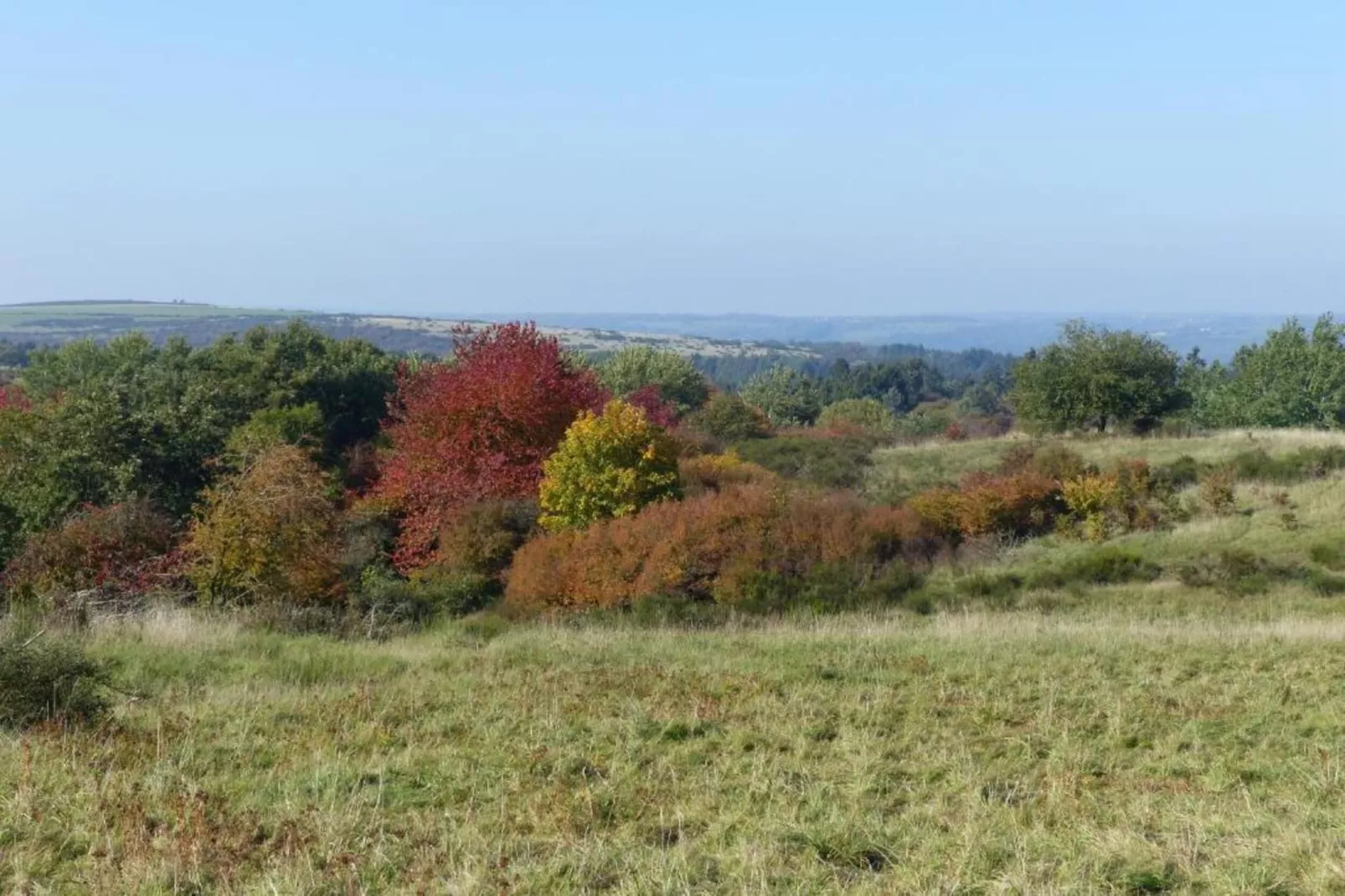 Morsbacher Hof I-Gebieden zomer 20km