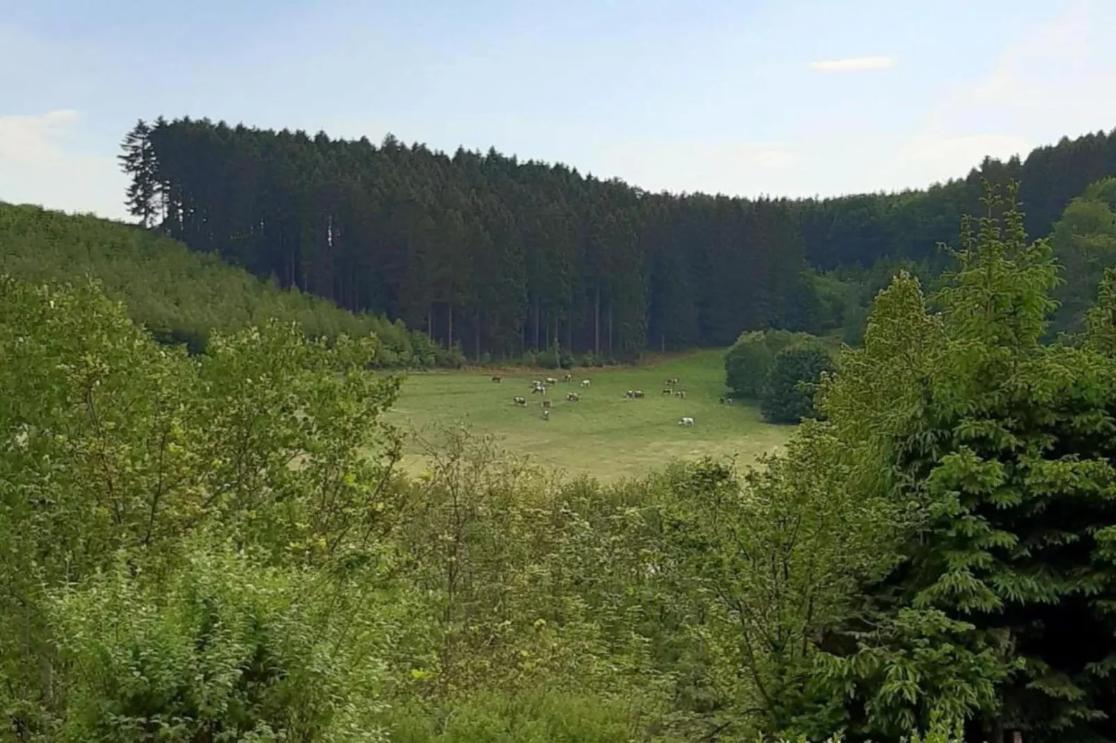 Ferienwohnung Silbecke-Gebieden zomer 20km
