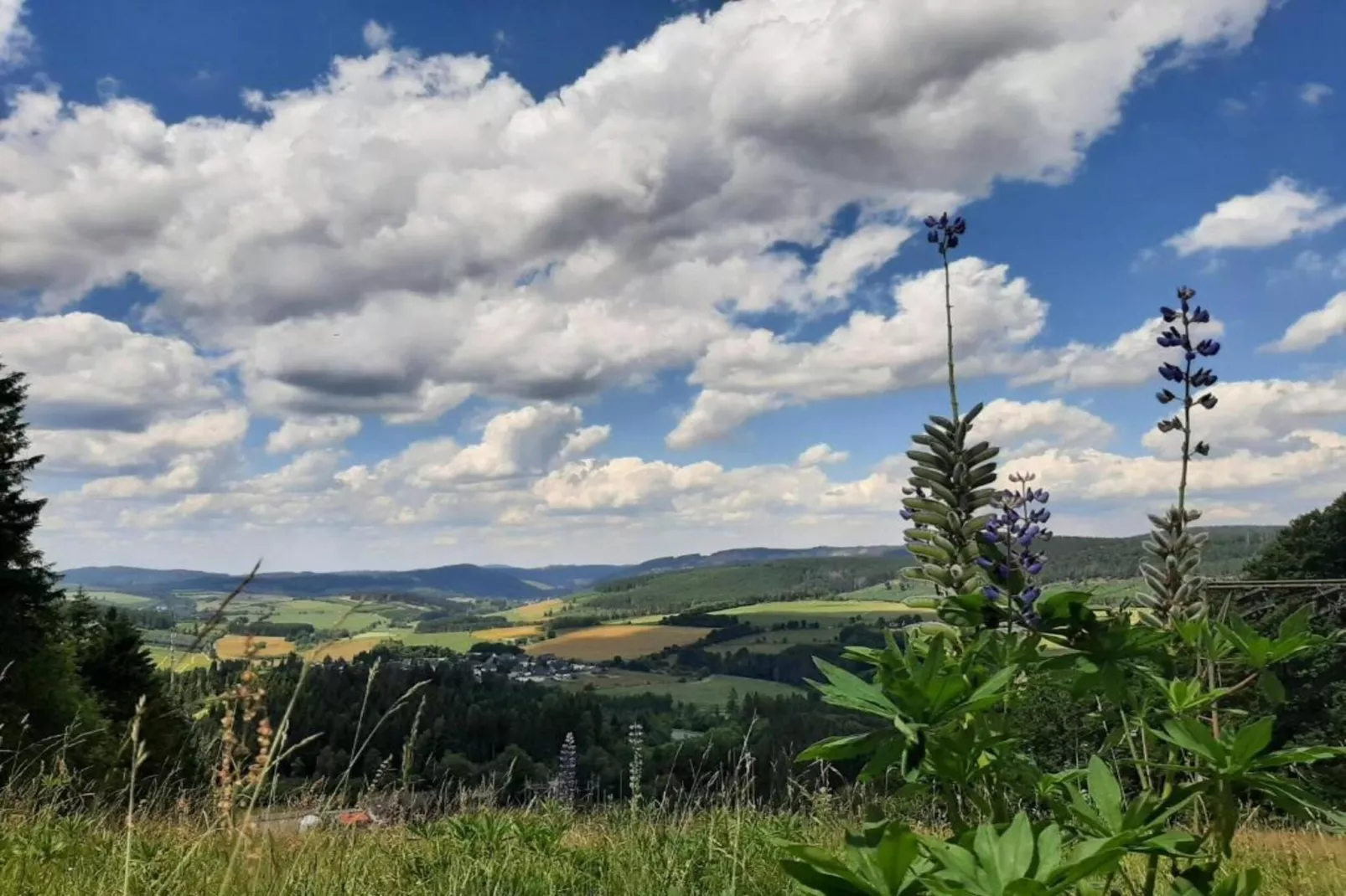 Zum Spitzen Land-Gebieden zomer 20km