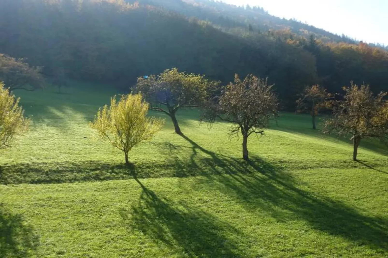 Am Stulzenhof-Gebieden zomer 20km