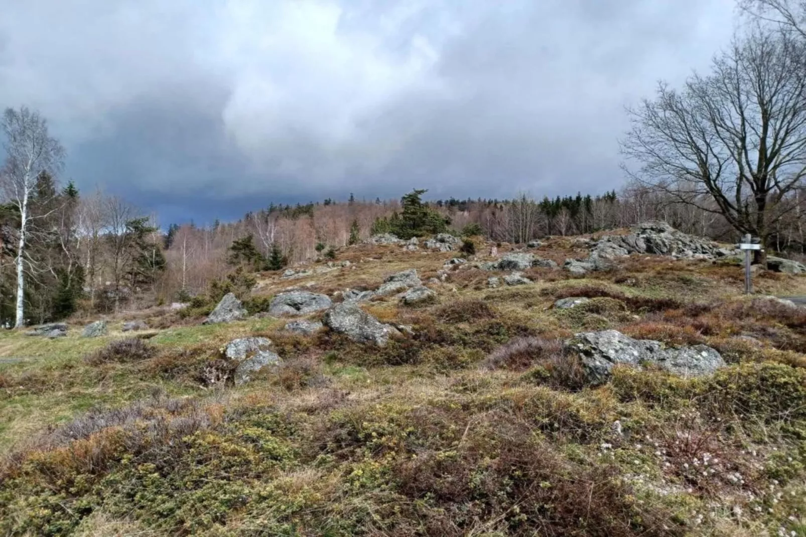 Bayerischer Wald-Gebieden zomer 20km