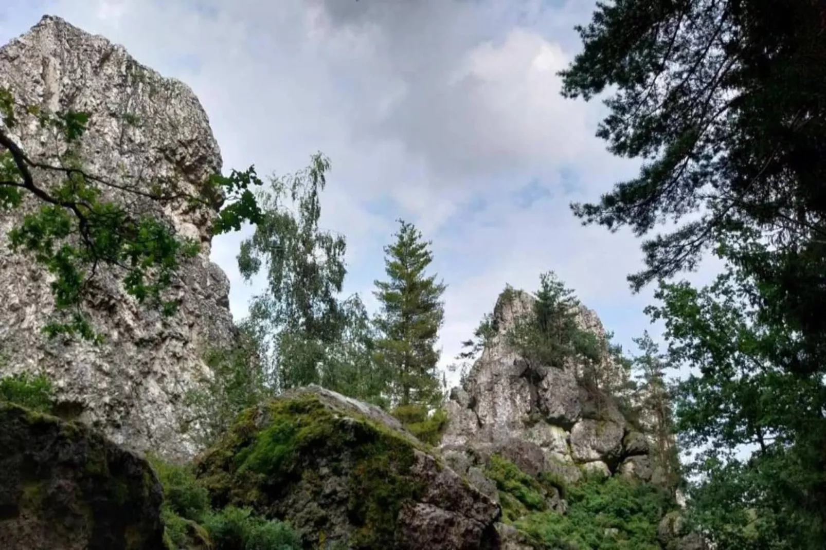 Vakantiehuis met sauna in het Beierse Woud-Gebieden zomer 20km