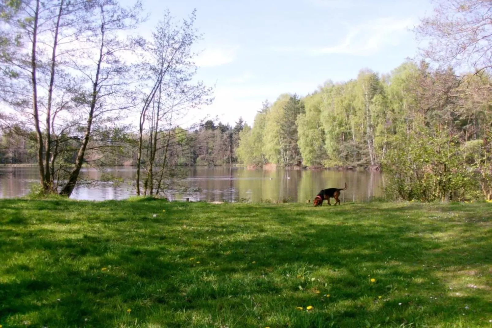Sereen verblijf met tuin-Gebieden zomer 5km