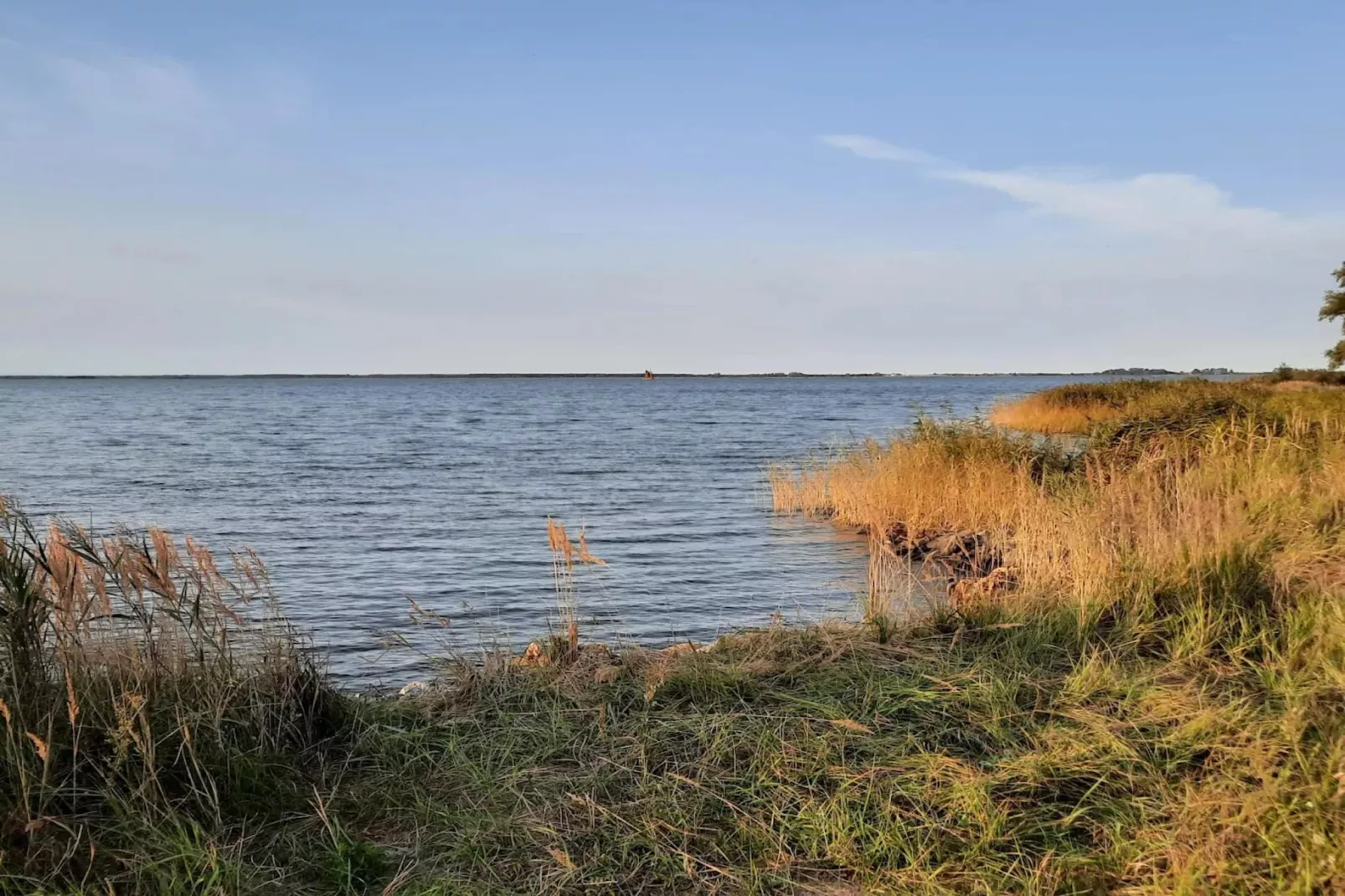 Seeadler 11-Gebieden zomer 1km