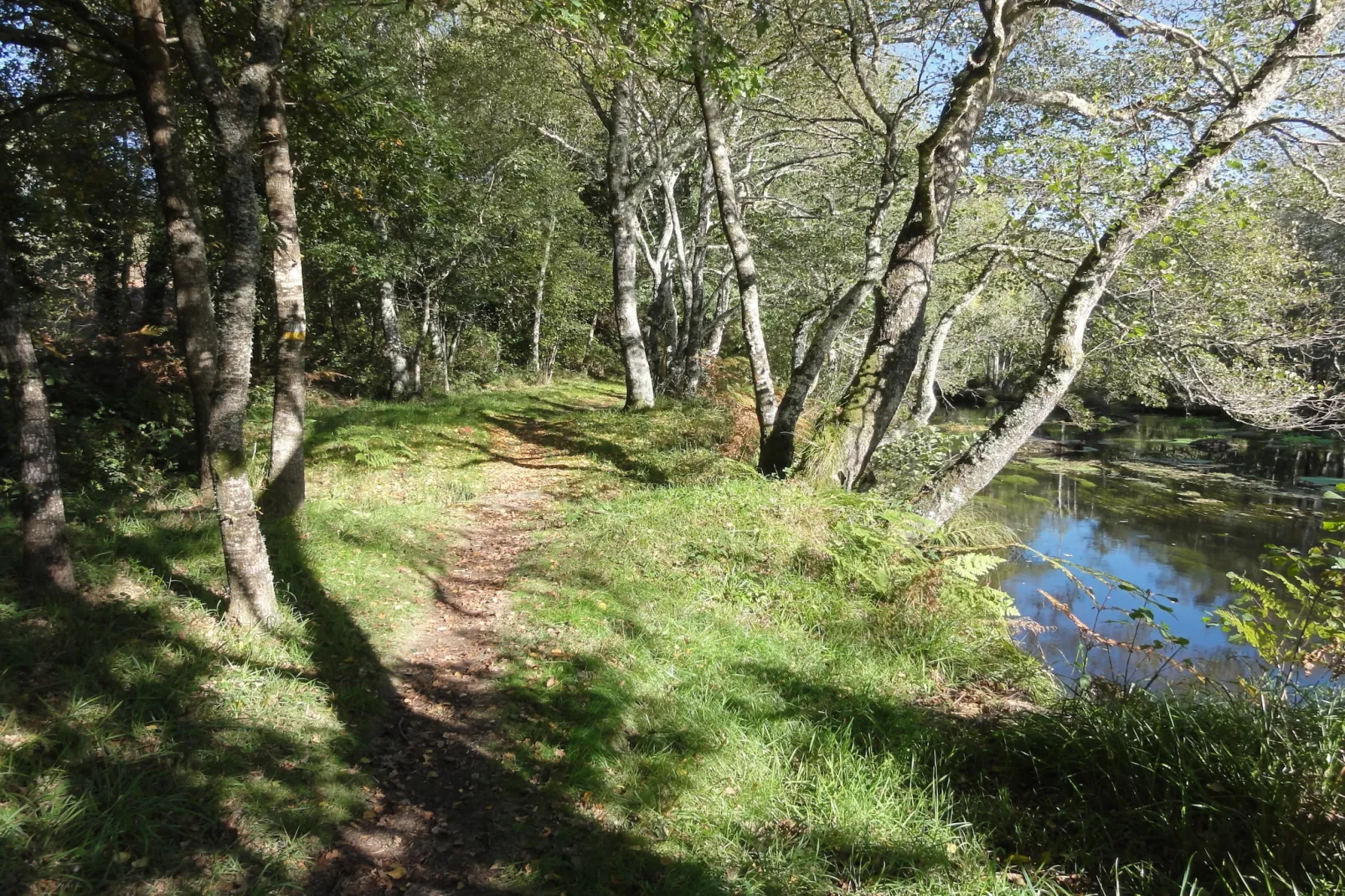 Casa Ribeira Sacra-Gebieden zomer 1km