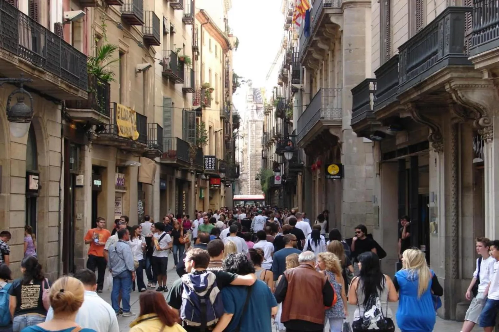 Mas Set Rengs 2-Gebieden zomer 20km