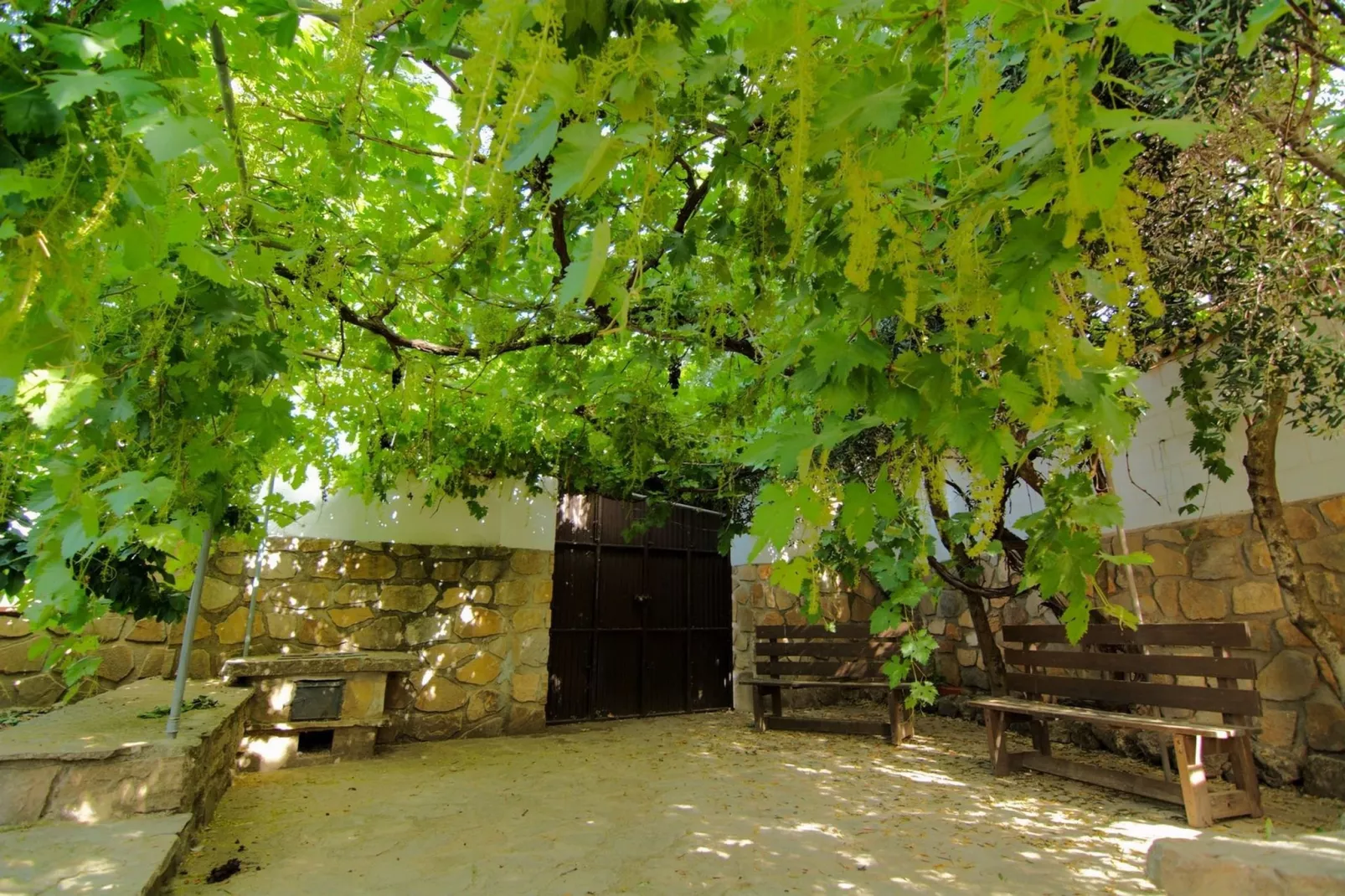 Casa Almendro-Tuinen zomer
