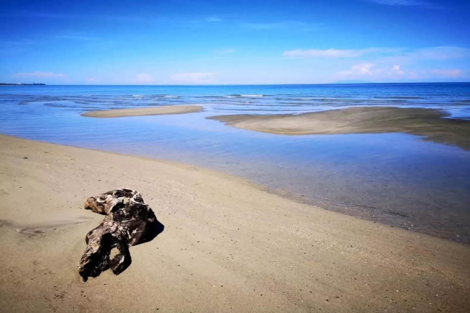 Indigo-Gebieden zomer 1km