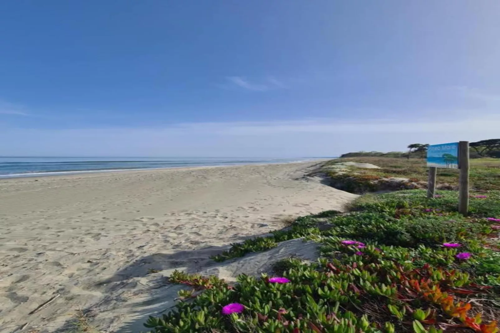 Résidence le Maquis Plage Type 3-Gebieden zomer 1km
