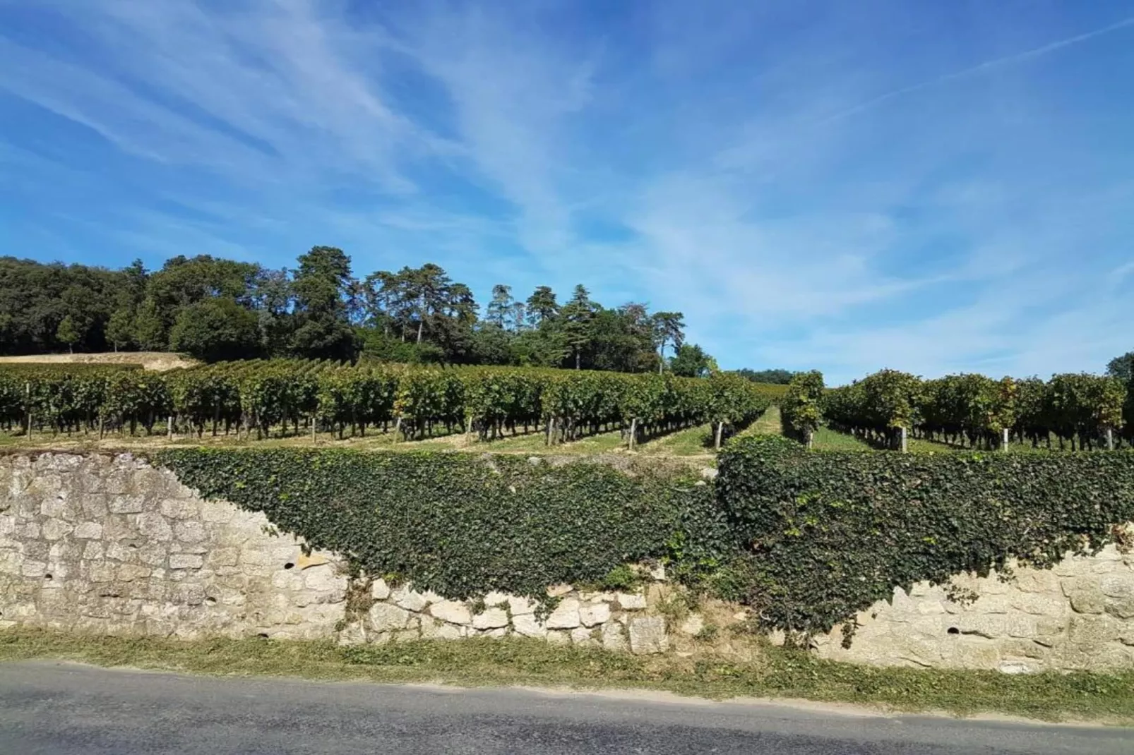 Gîte du Château-Gebieden zomer 5km