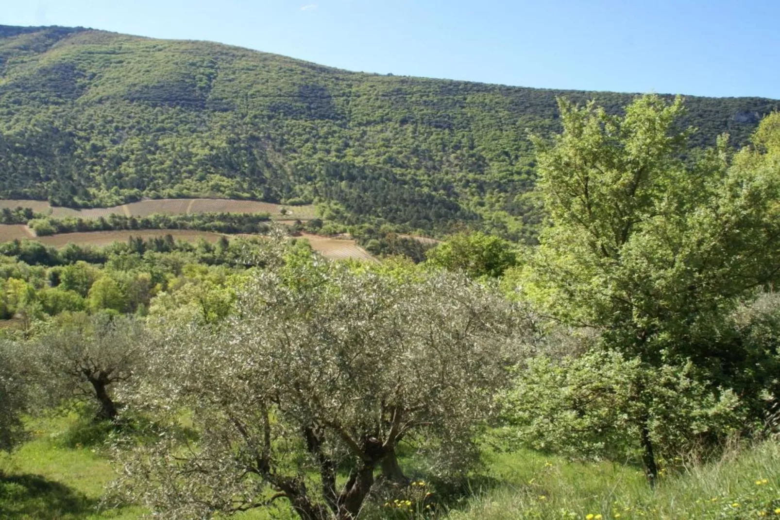 Au château près du Ventoux III-Gebieden zomer 5km