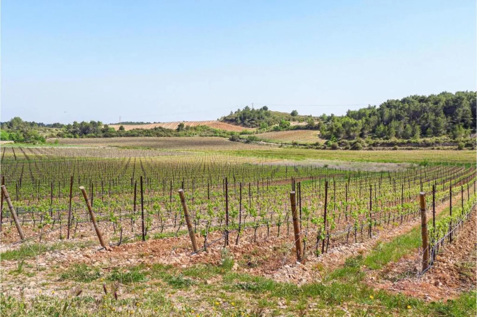 Club Saint Loup 1-Gebieden zomer 20km