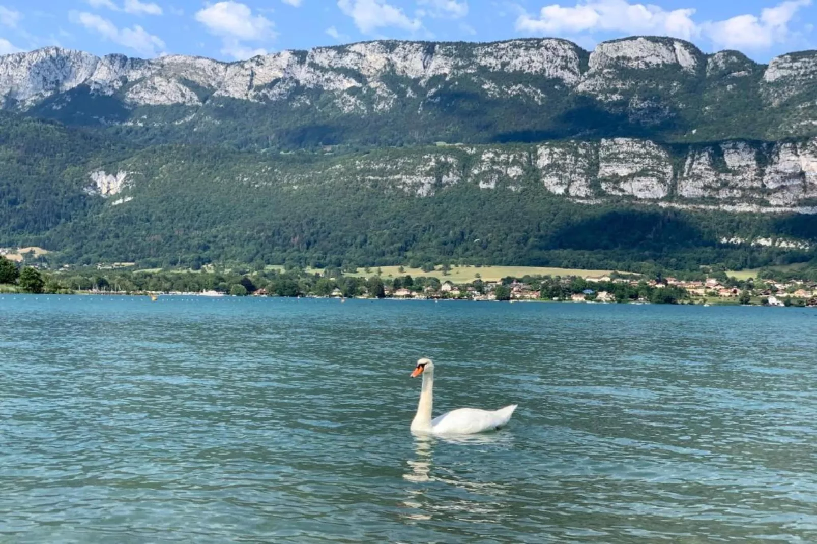 Le Birdie 6-Gebieden zomer 20km