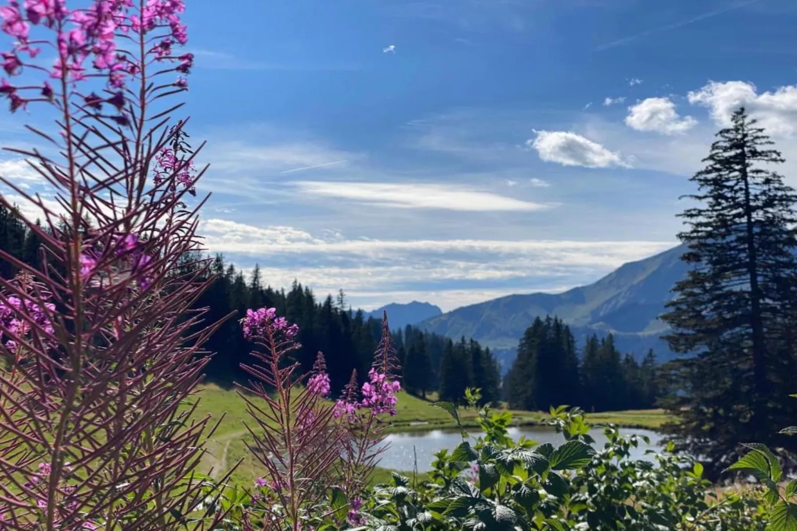 Les Fermes de Chatel 1-Gebieden zomer 20km