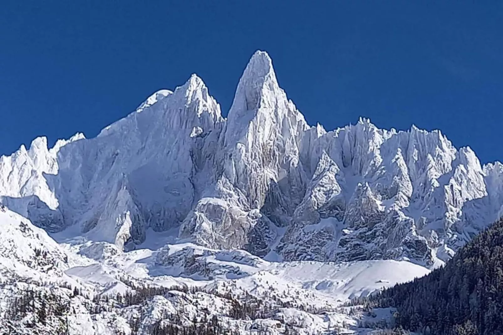 Isatis 1-Gebied winter 20km
