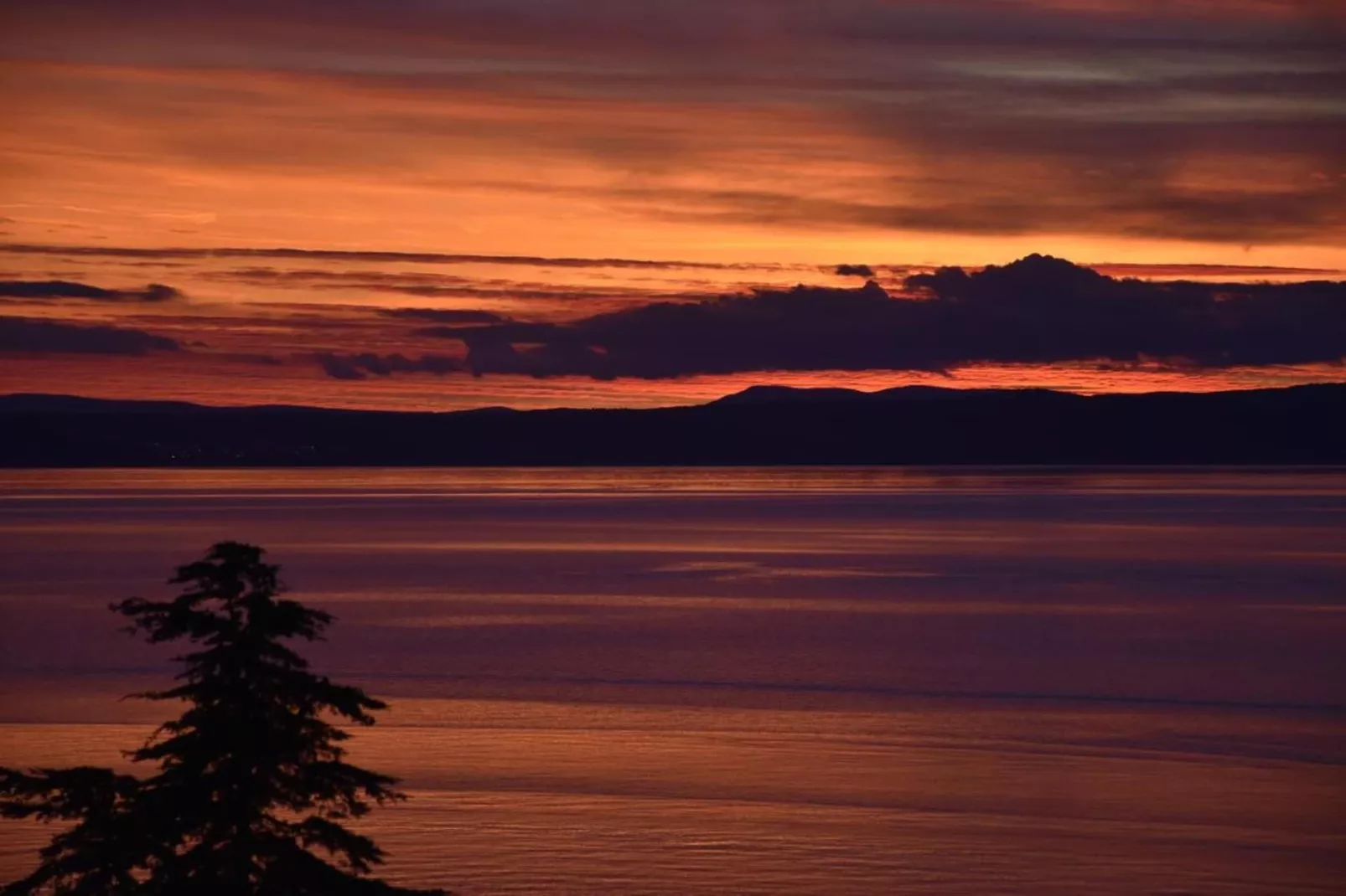 Federica-Gebieden zomer 20km