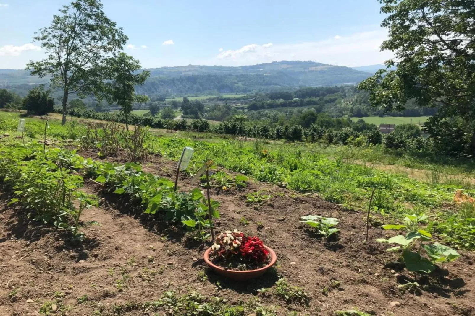 Barolo-Gebieden zomer 20km