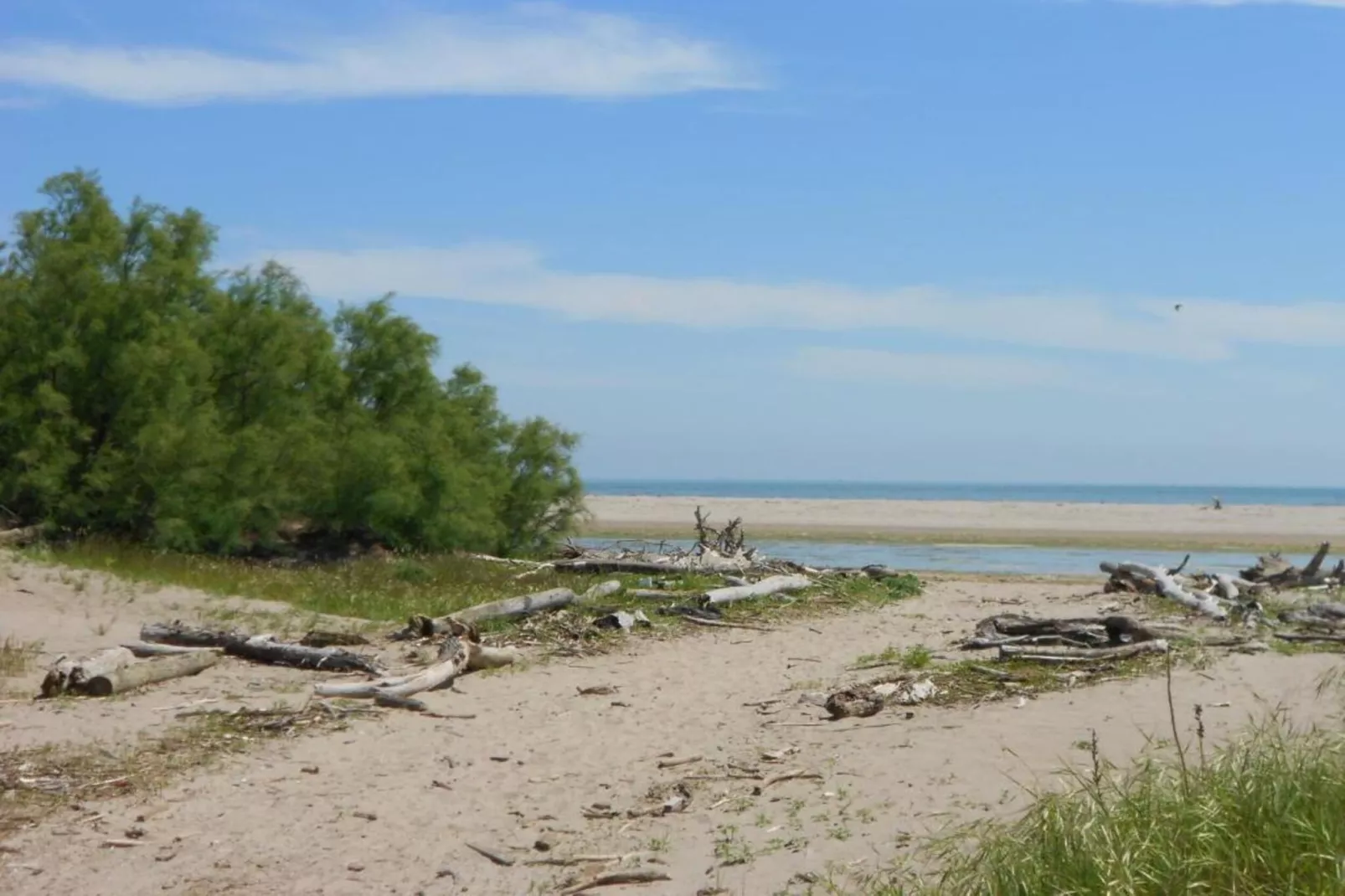 Federica 10/5-Gebieden zomer 1km