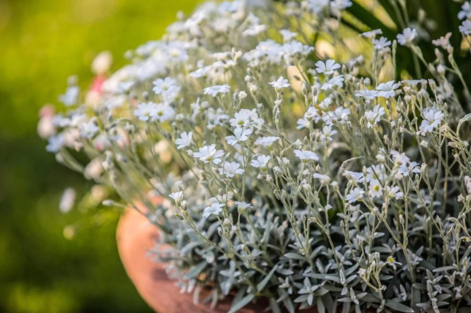 Villa Anita-Gebieden zomer 20km