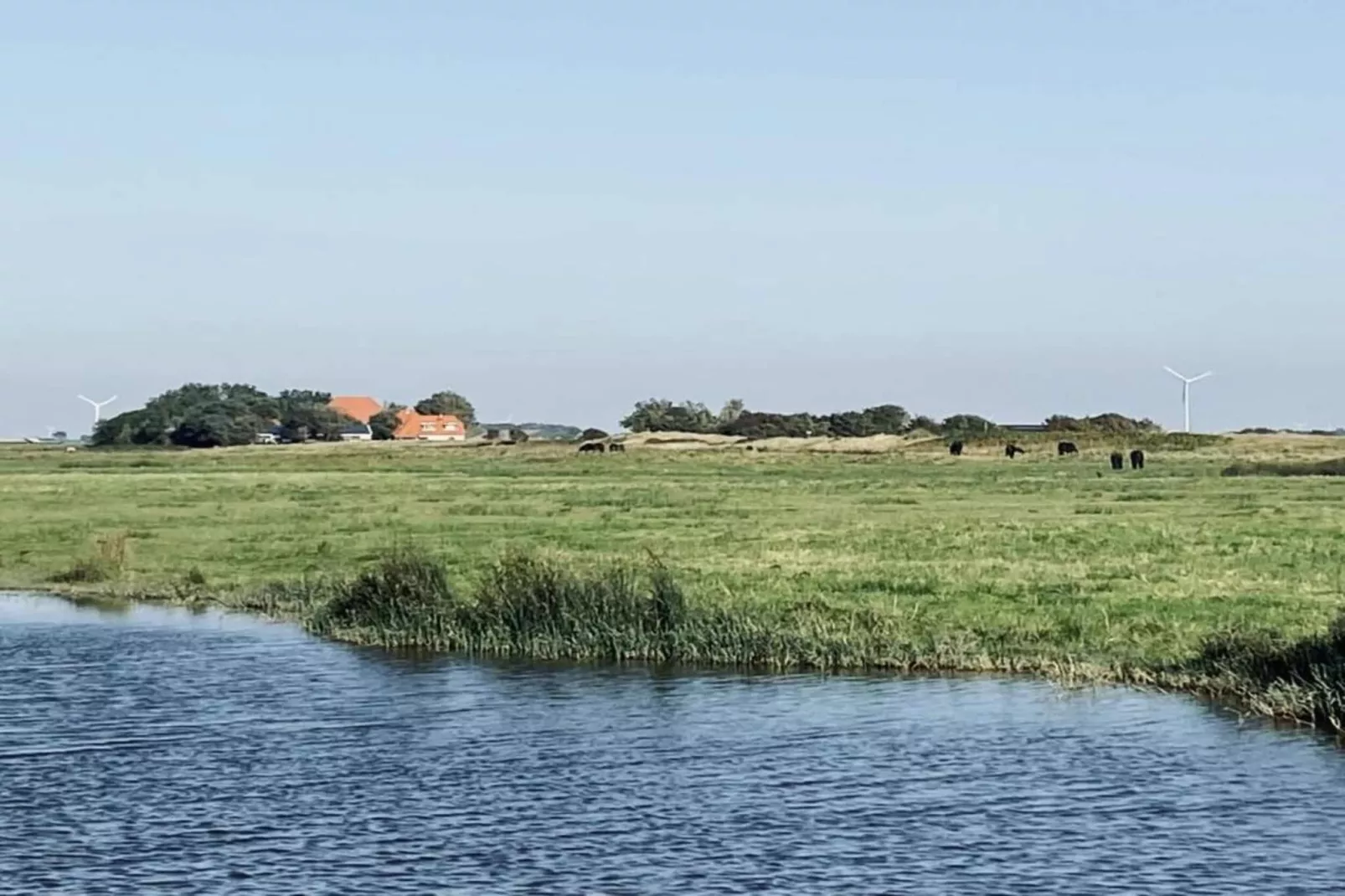 Hazenborgh - Studio Eb-Gebieden zomer 20km
