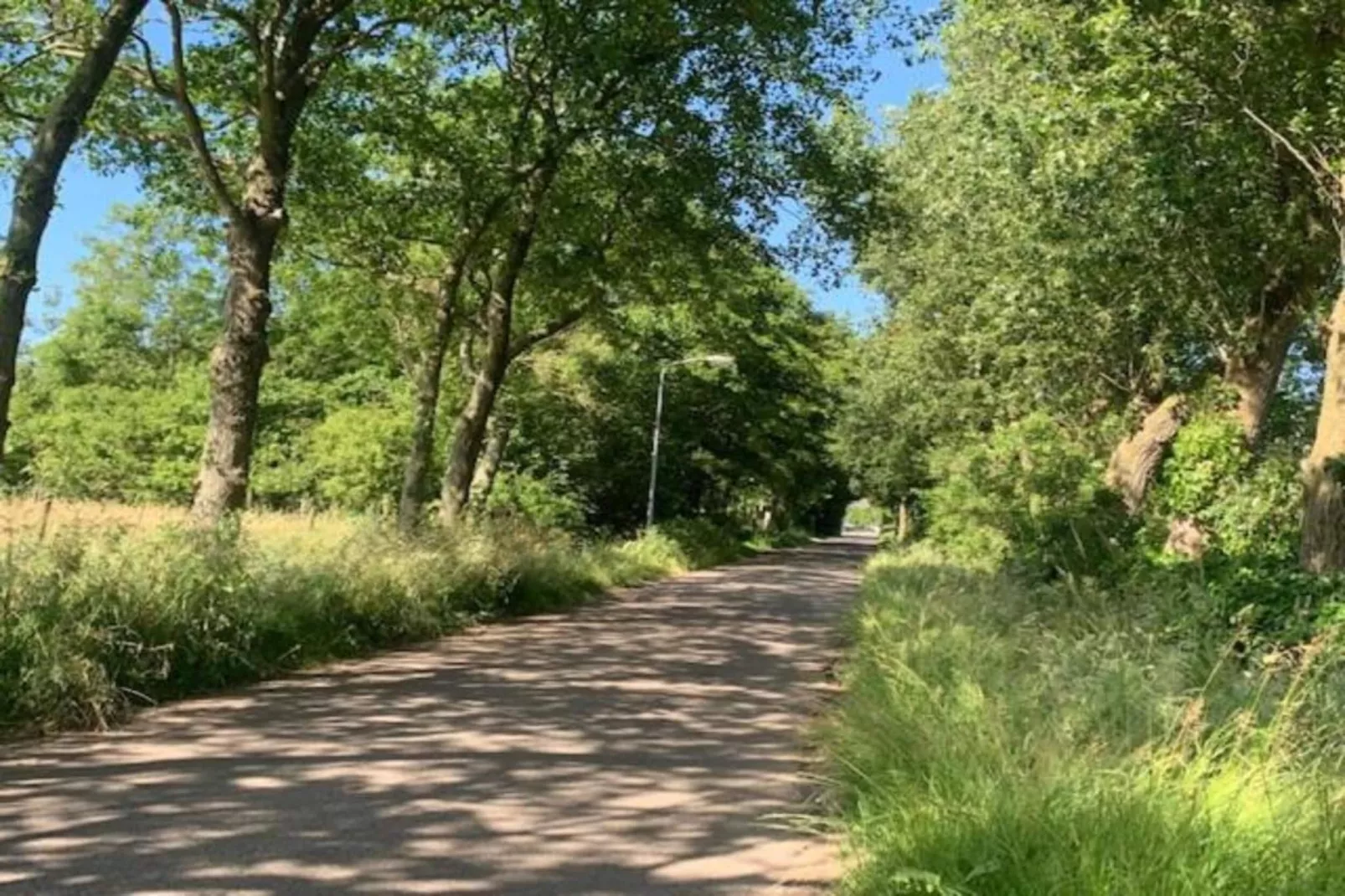 Recreatiepark Wiringherlant - Wiringher Villa 17-Gebieden zomer 20km
