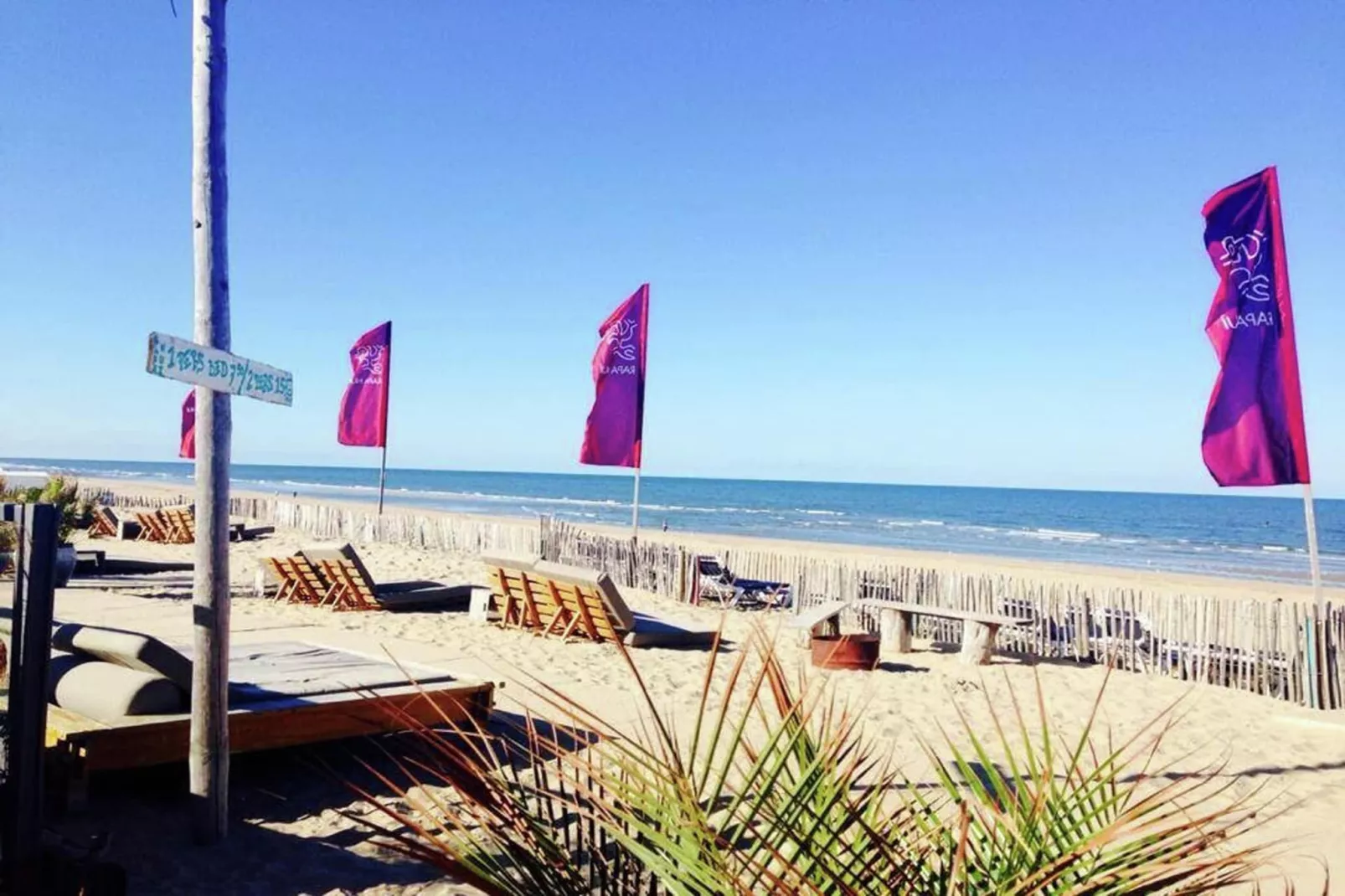 Sea Lodges Zandvoort 5-Gebieden zomer 20km