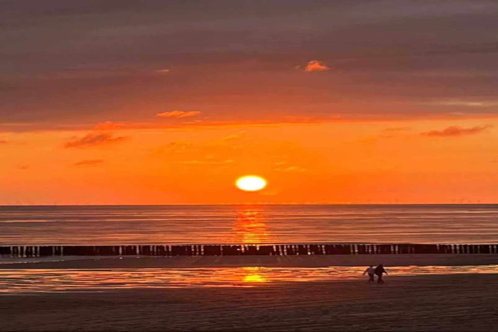 Noordzee Résidence Dishoek 9-Gebieden zomer 5km