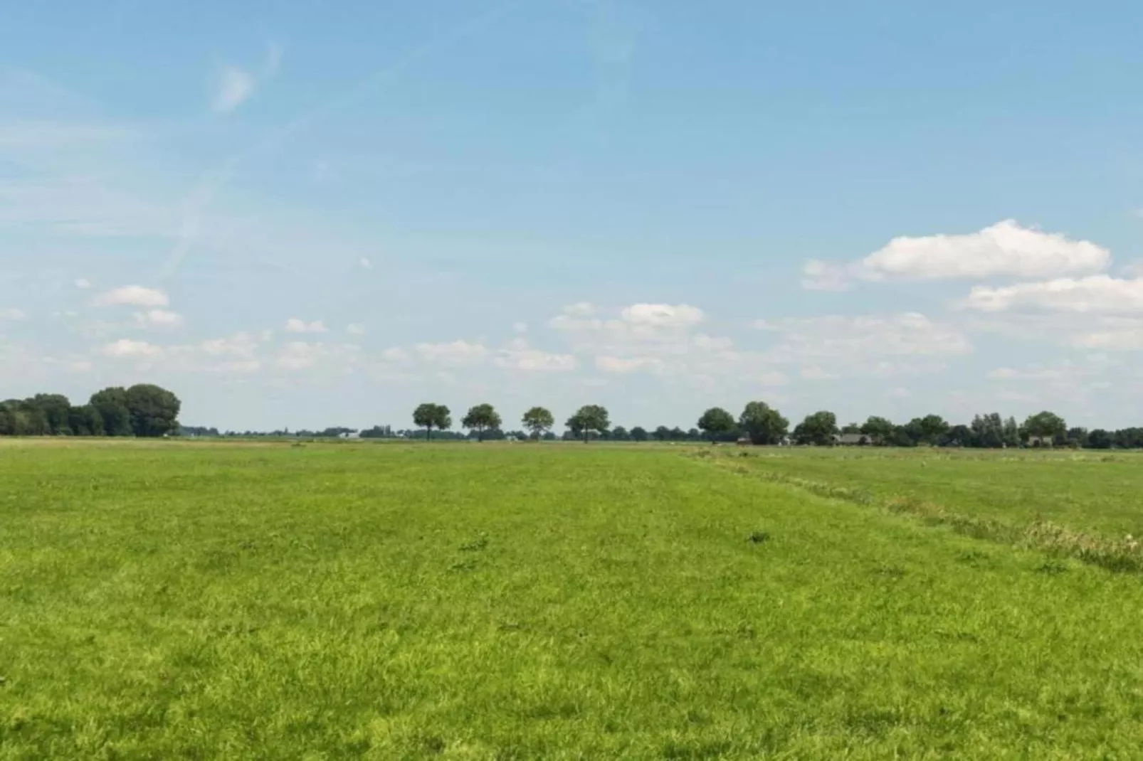Peper en Zout-Gebieden zomer 5km