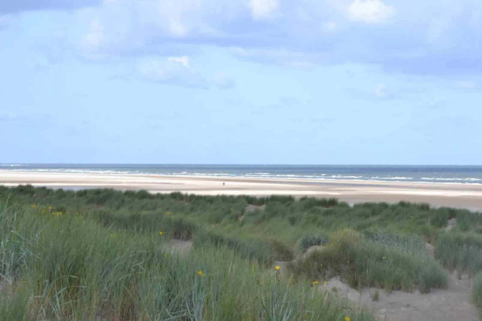 Beach Resort Nieuwvliet-Bad 4-Gebieden zomer 20km