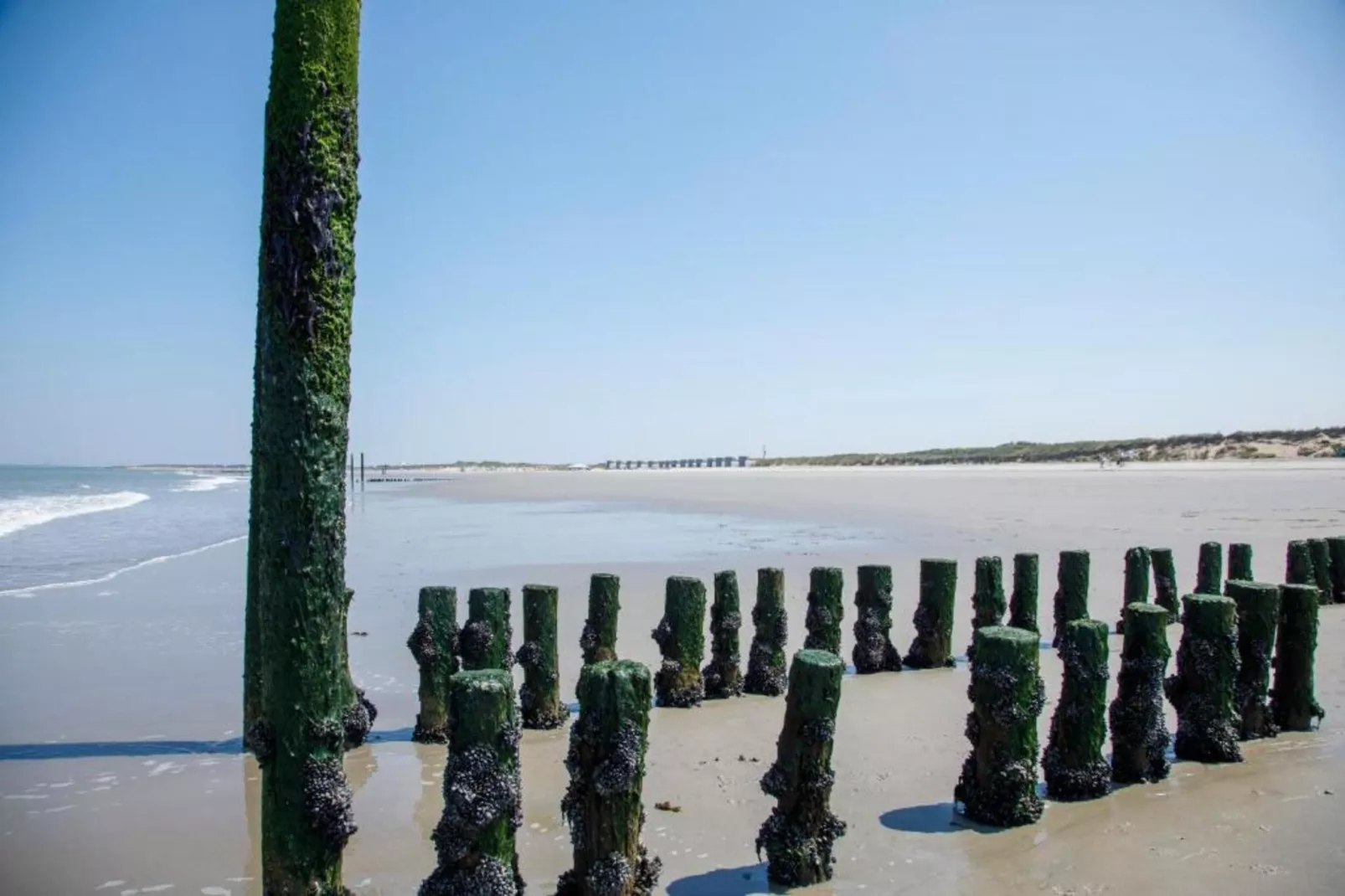 Beach Resort Nieuwvliet-Bad 15-Gebieden zomer 20km