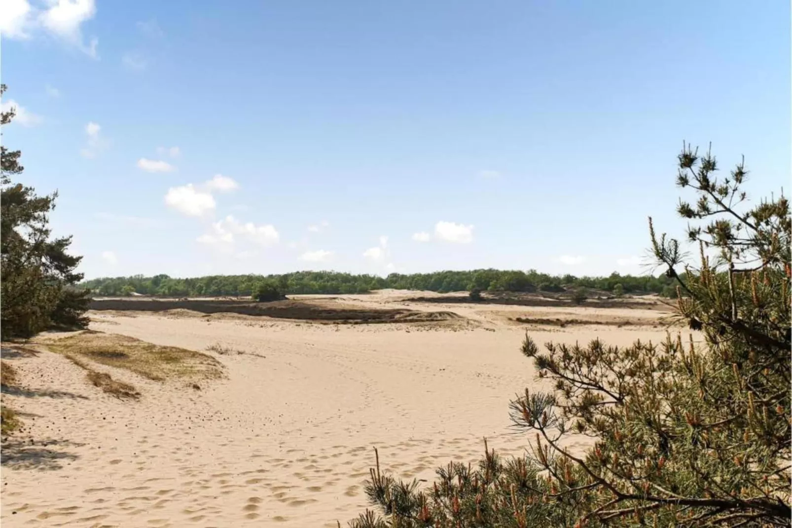 Recreatiepark Duinhoeve 9-Gebieden zomer 20km