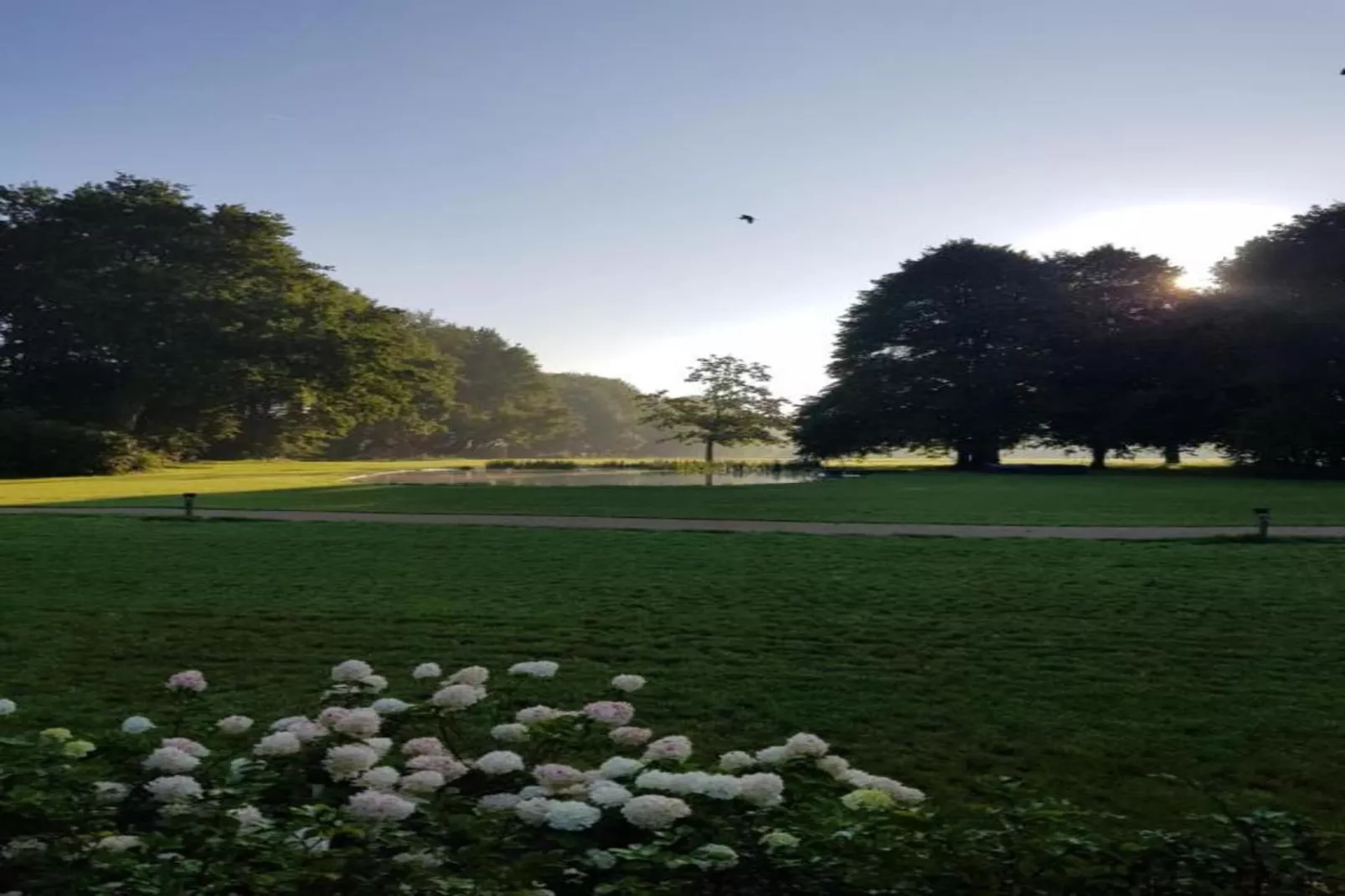 Parc de Kievit 2 - Gebieden zomer 20km