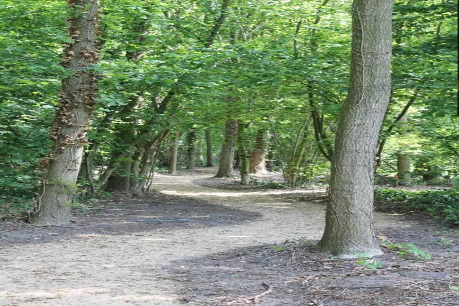 Parc de Kievit 3 - Gebieden zomer 20km