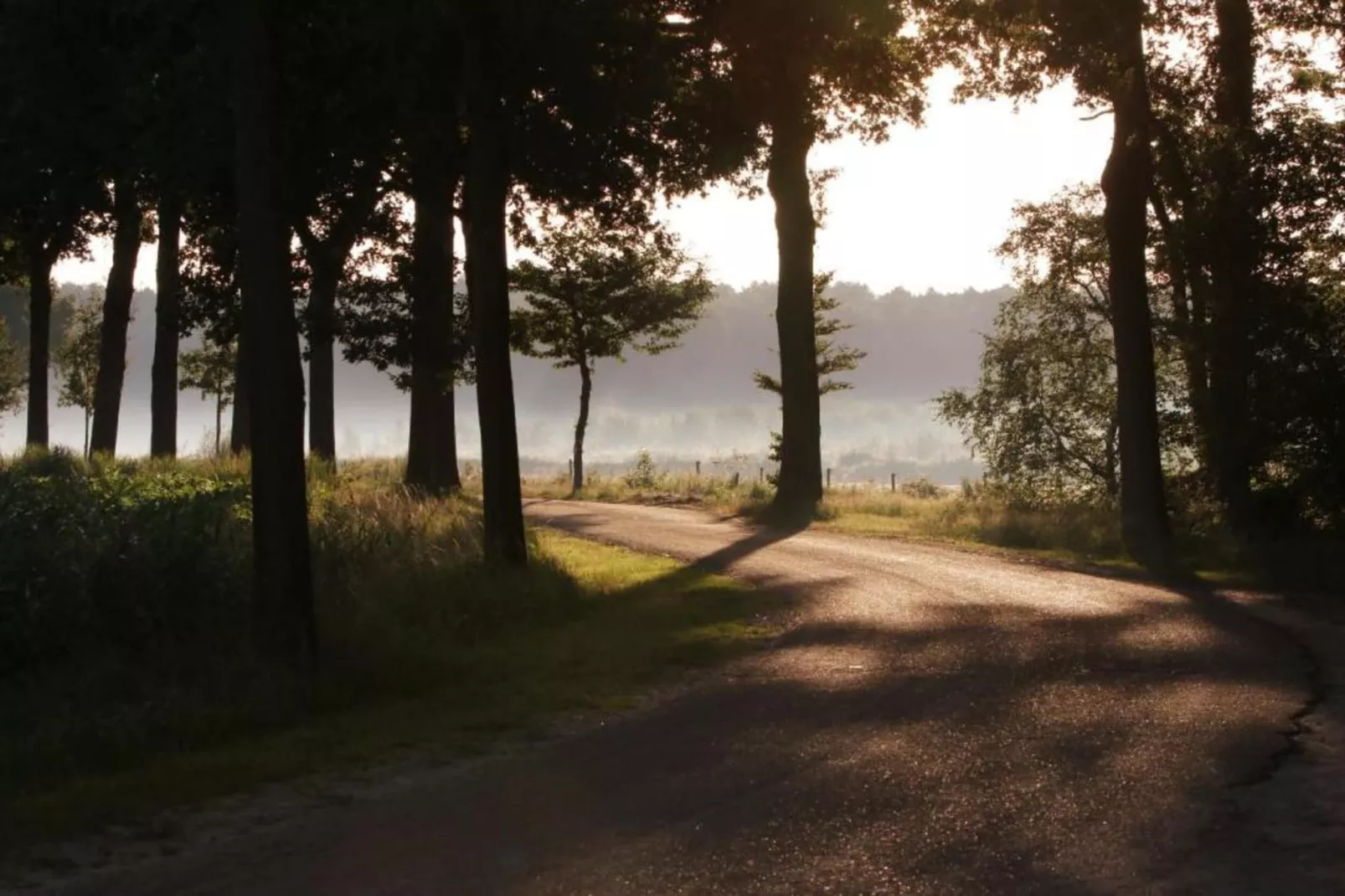 Bospark 't Wolfsven 12-Gebieden zomer 5km
