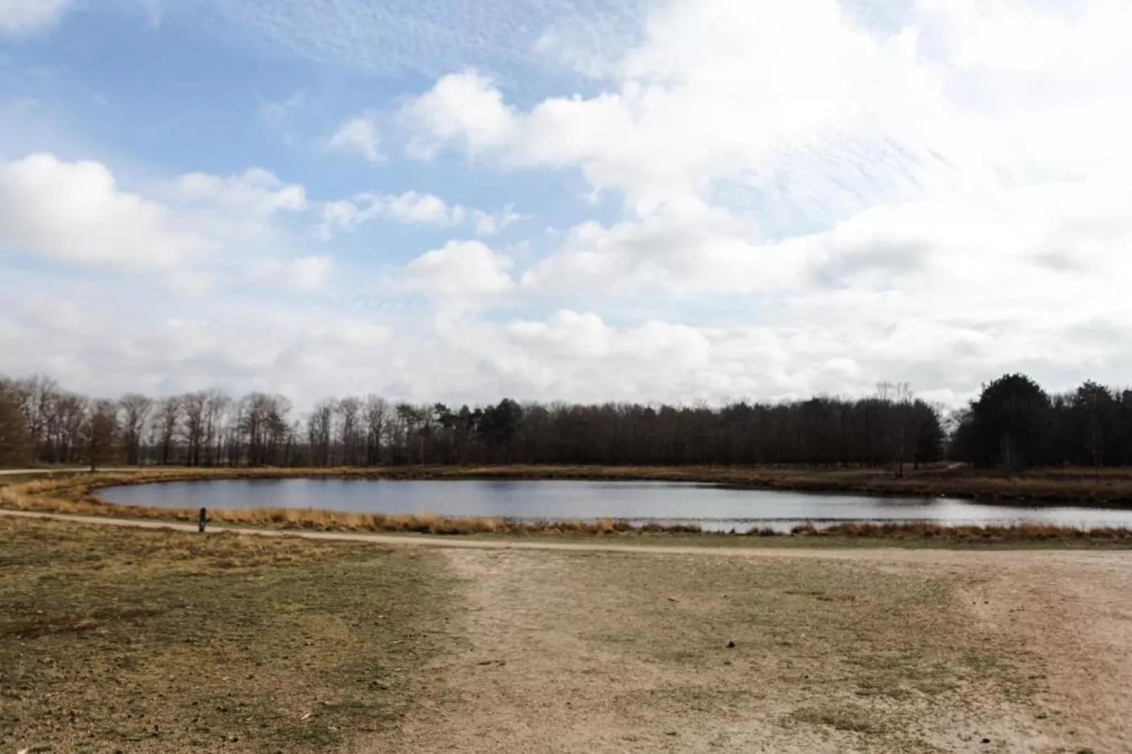 Bospark 't Wolfsven 15-Gebieden zomer 5km