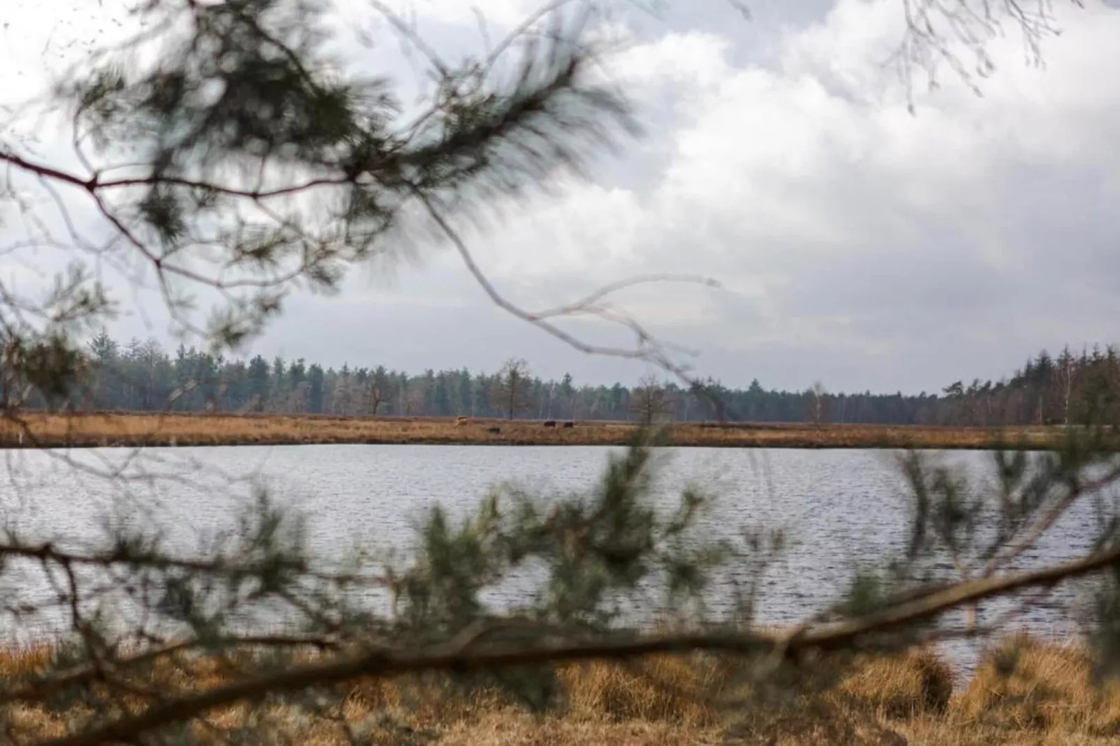 Dorpswoning Het Uitzicht-Gebieden zomer 20km