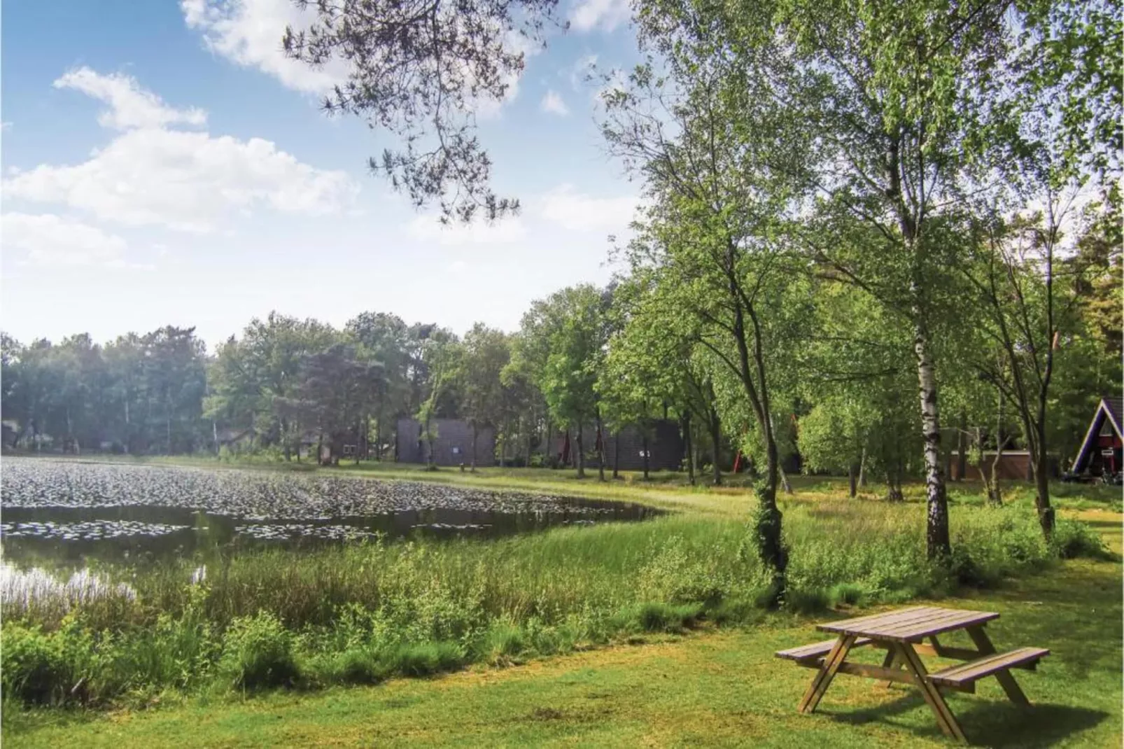 Vakantiepark Weerterbergen 5-Gebieden zomer 20km