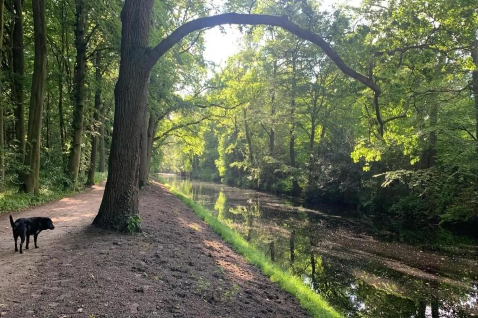 Hof van Craeck I-Gebieden zomer 20km