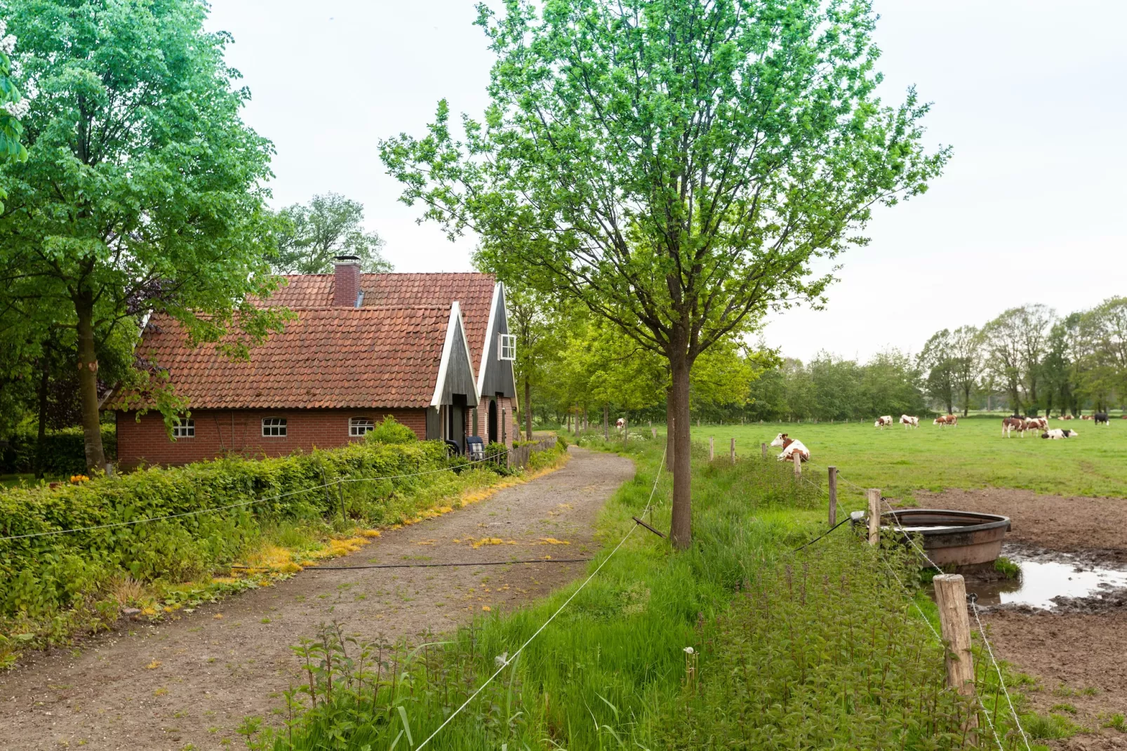 Kotman's spieker 12 persoons-Tuinen zomer