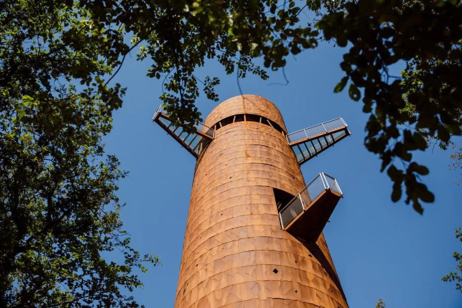 RCN Vakantiepark de Roggeberg 12-Gebieden zomer 20km