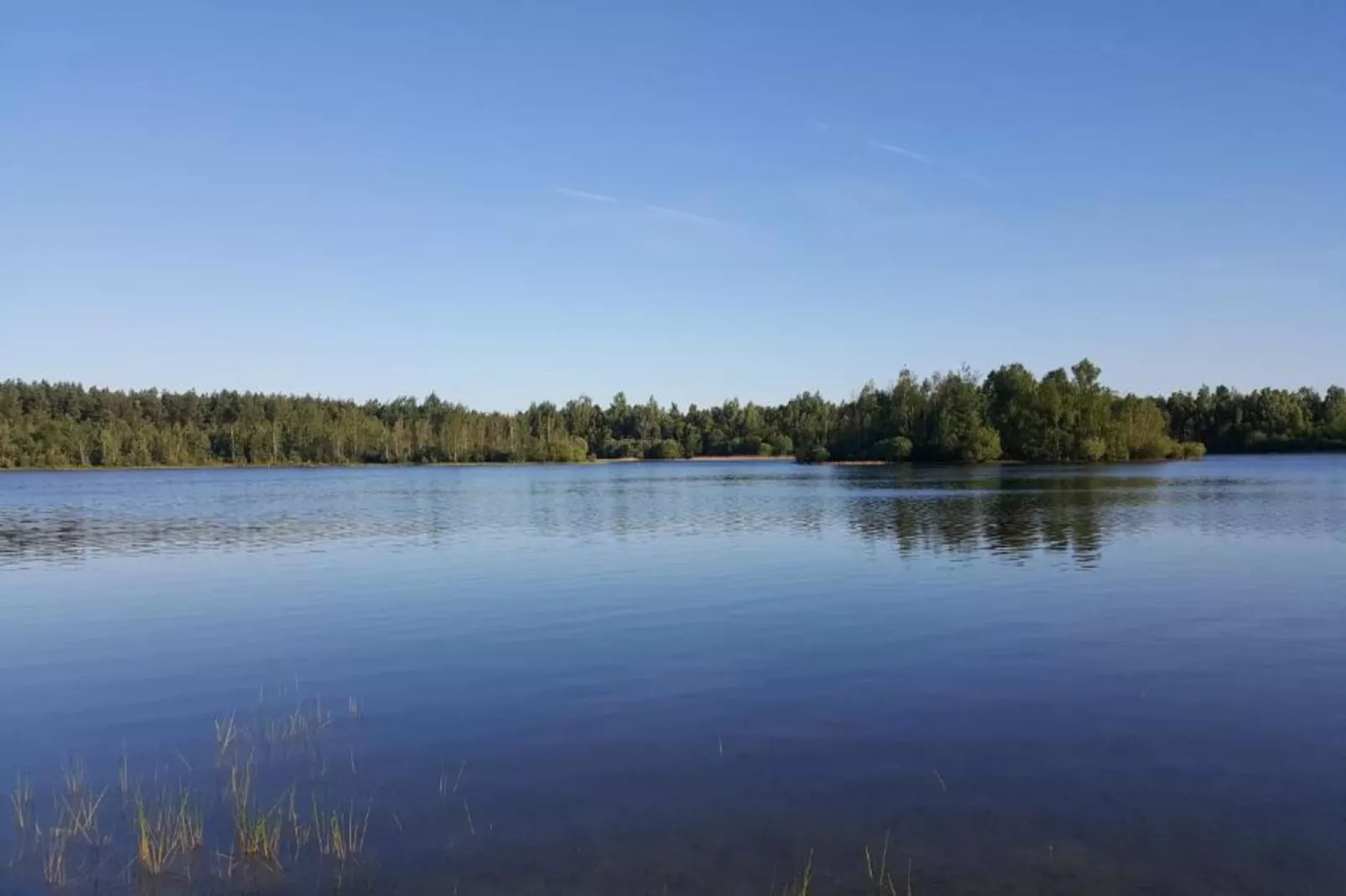 The Forest Cottage-Gebieden zomer 20km