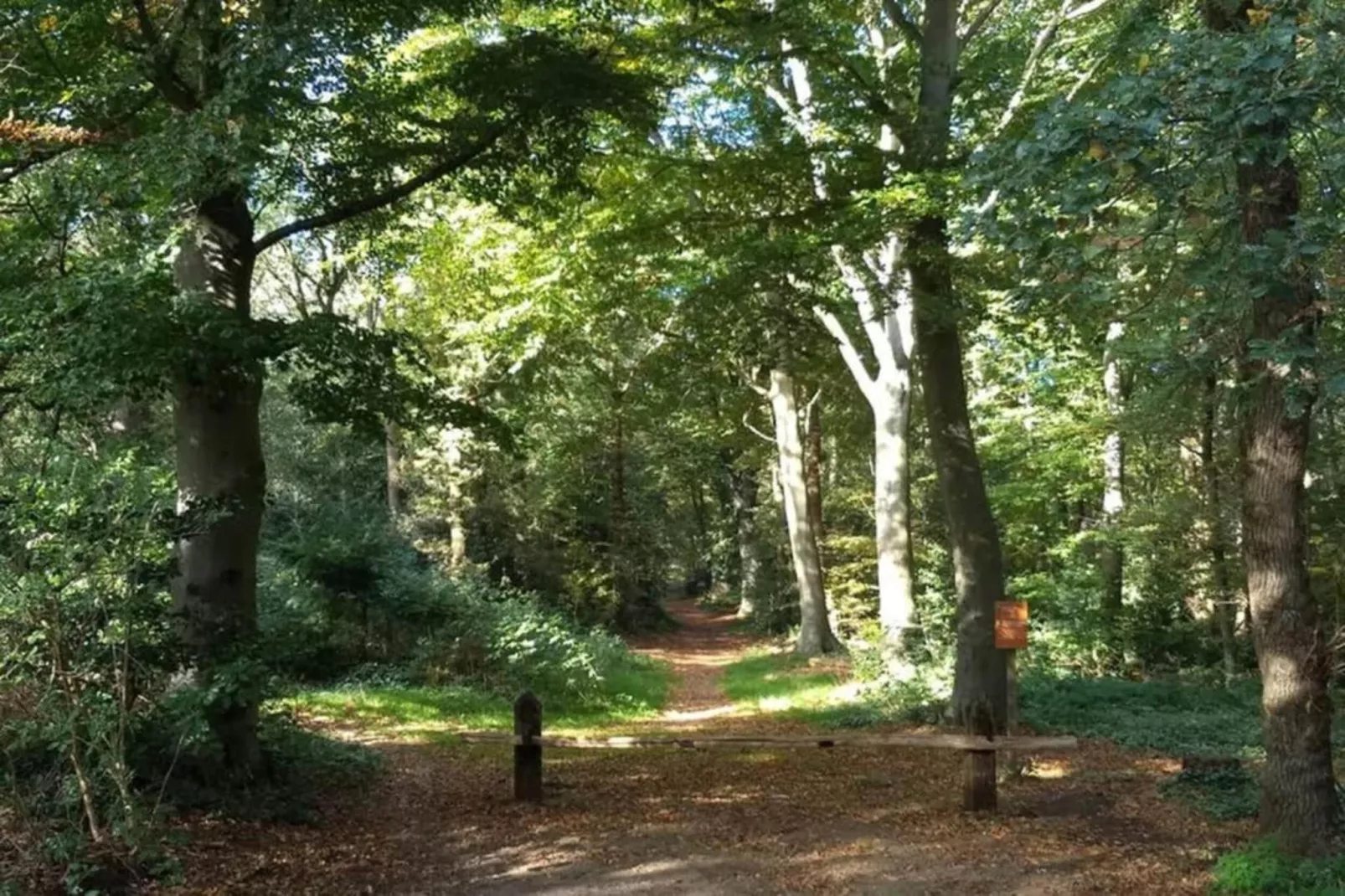 De Meerkoet-Gebieden zomer 5km