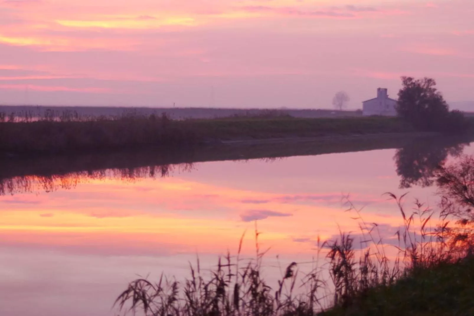Case Mobili Mimosa-Gebieden zomer 20km